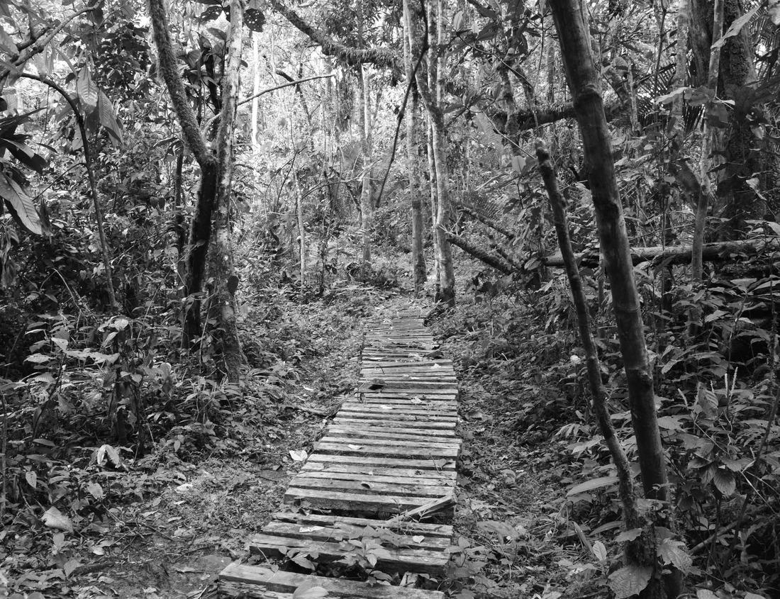 Noah Jigsaw Puzzle El Paso, Texas, USA downtown city skyline at dusk with Juarez, Mexico in the distance in black white 1000 pieces