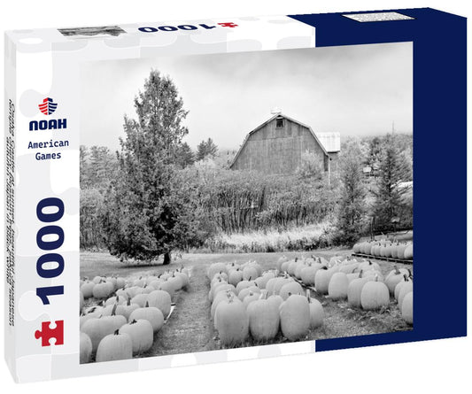 Noah Jigsaw Puzzle Autumn pumpkin patch with a rustic old red barn in Vermont, USA. in black white 1000 pieces