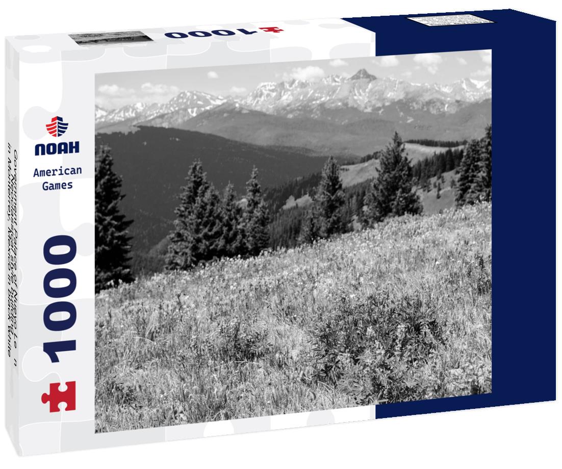 Noah Jigsaw Puzzle Government Palace of Nuevo León, Neoclassical style building, in Monterrey, Mexico in black white 1000 pieces