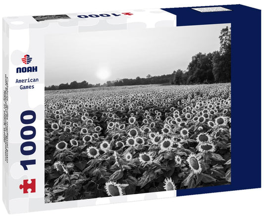 Noah Jigsaw Puzzle Calabria, Scilla medieval town with beautiful beach. Southern Italy in black white 1000 pieces