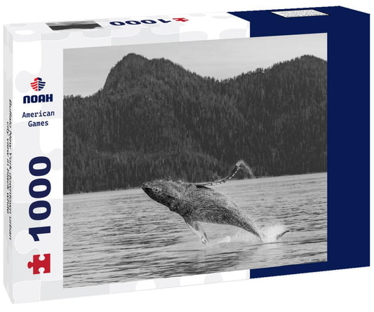 Noah Jigsaw Puzzle Buffalo New York downtown urban city view in black white 1000 pieces