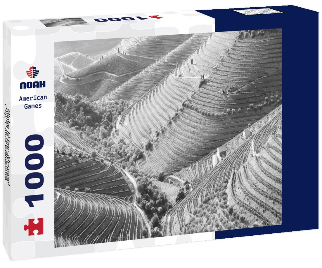 Noah Jigsaw Puzzle Chiba Urban Monorail, which is run at Chiba City, Chiba Prefecture, Japan in black white 1000 pieces