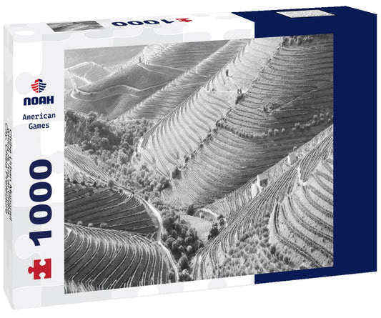 Noah Jigsaw Puzzle Chiba Urban Monorail, which is run at Chiba City, Chiba Prefecture, Japan in black white 1000 pieces