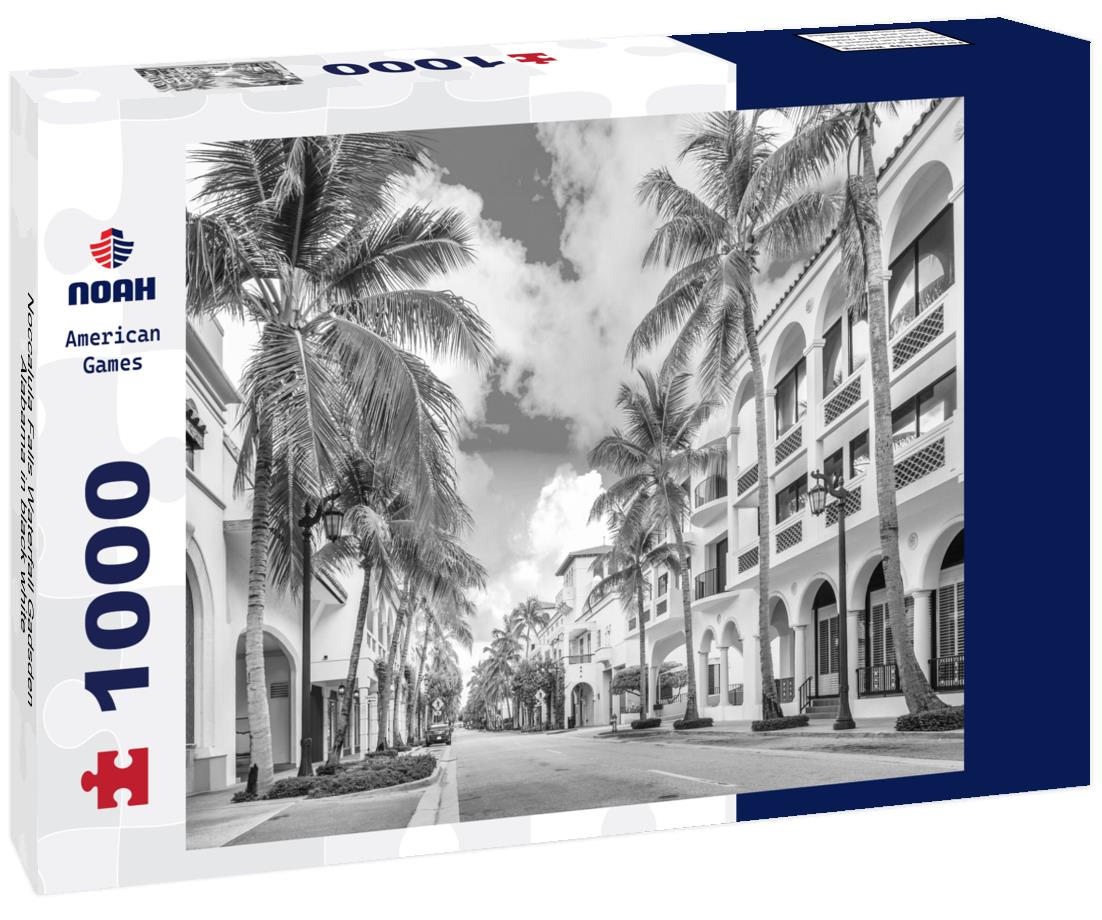 Noah Jigsaw Puzzle Noccalula Falls Waterfall Gadsden Alabama in black white 1000 pieces