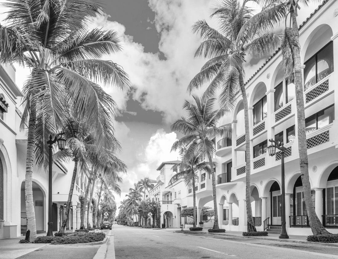 Noah Jigsaw Puzzle Noccalula Falls Waterfall Gadsden Alabama in black white 1000 pieces