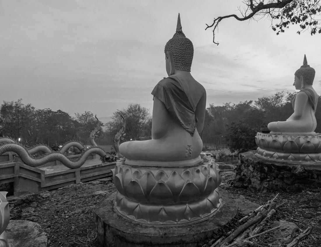 Noah Jigsaw Puzzle Annapolis, Maryland, USA from Annapolis Harbour at sunset in black white 1000 pieces