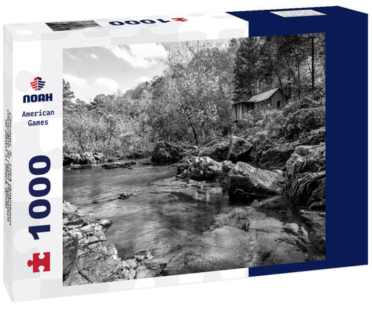 Noah Jigsaw Puzzle Chicago, IL, USA downtown cityscape at night Highways at dawn in black white 1000 pieces