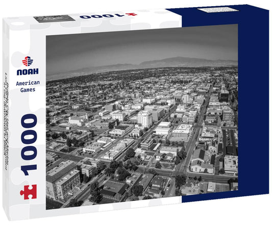 Noah Jigsaw Puzzle Buffalo City Hall and Marble Lion Of The McKinley Monument in city downtown in black white 1000 pieces