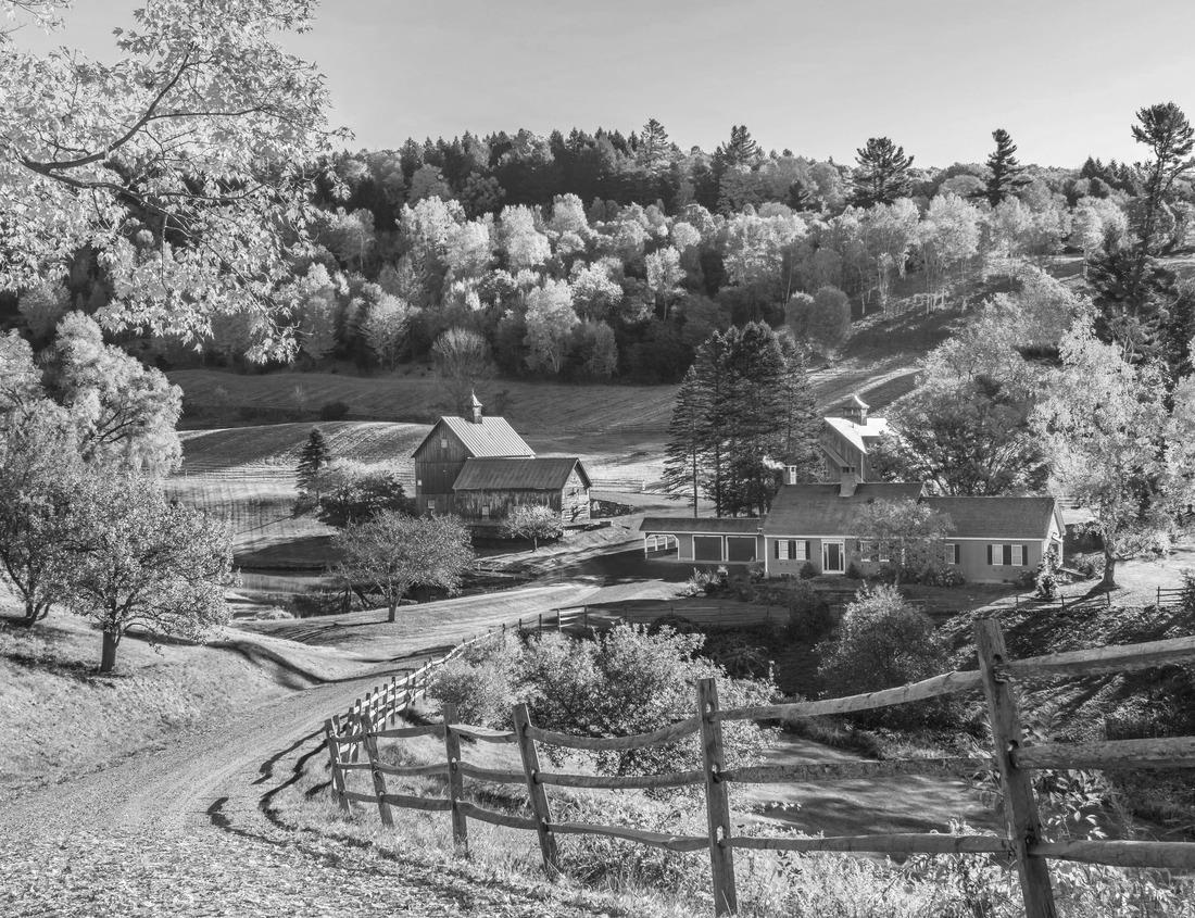 Noah Jigsaw Puzzle An early autumn foliage scene shows houses in the mountains of Woodstock, Vermont, USA. in black white 1000 pieces