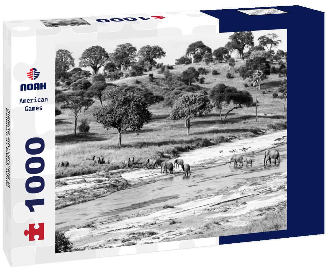 Noah Jigsaw Puzzle historic city verviers in belgium in black white 1000 pieces