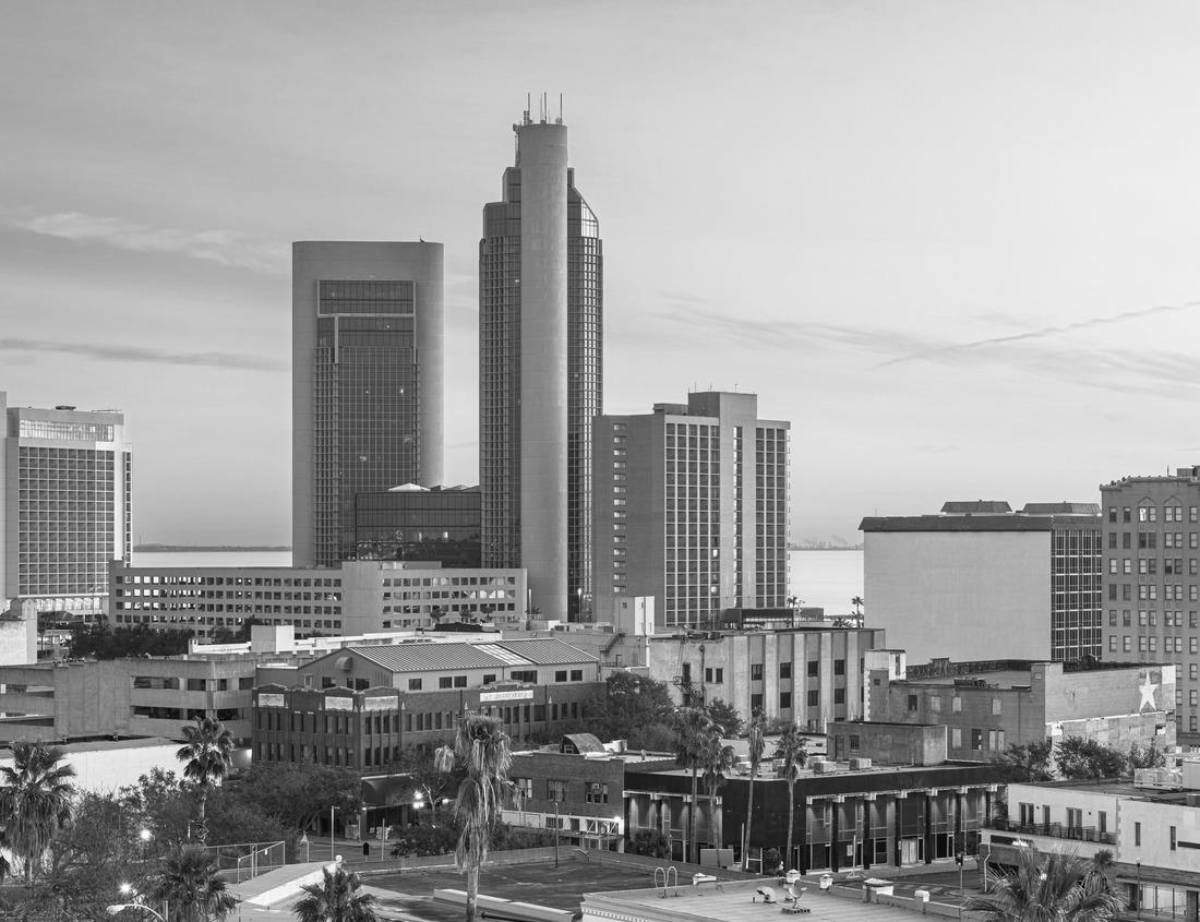 Noah Jigsaw Puzzle Downtown Corpus Christi city skyline at dawn. in black white 1000 pieces