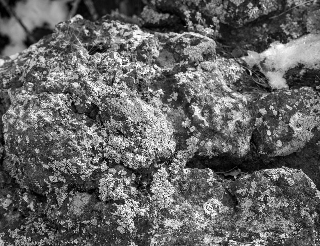 Noah Jigsaw Puzzle Capulin Volcano National Monument is captured in New Mexico. in black white 1000 pieces