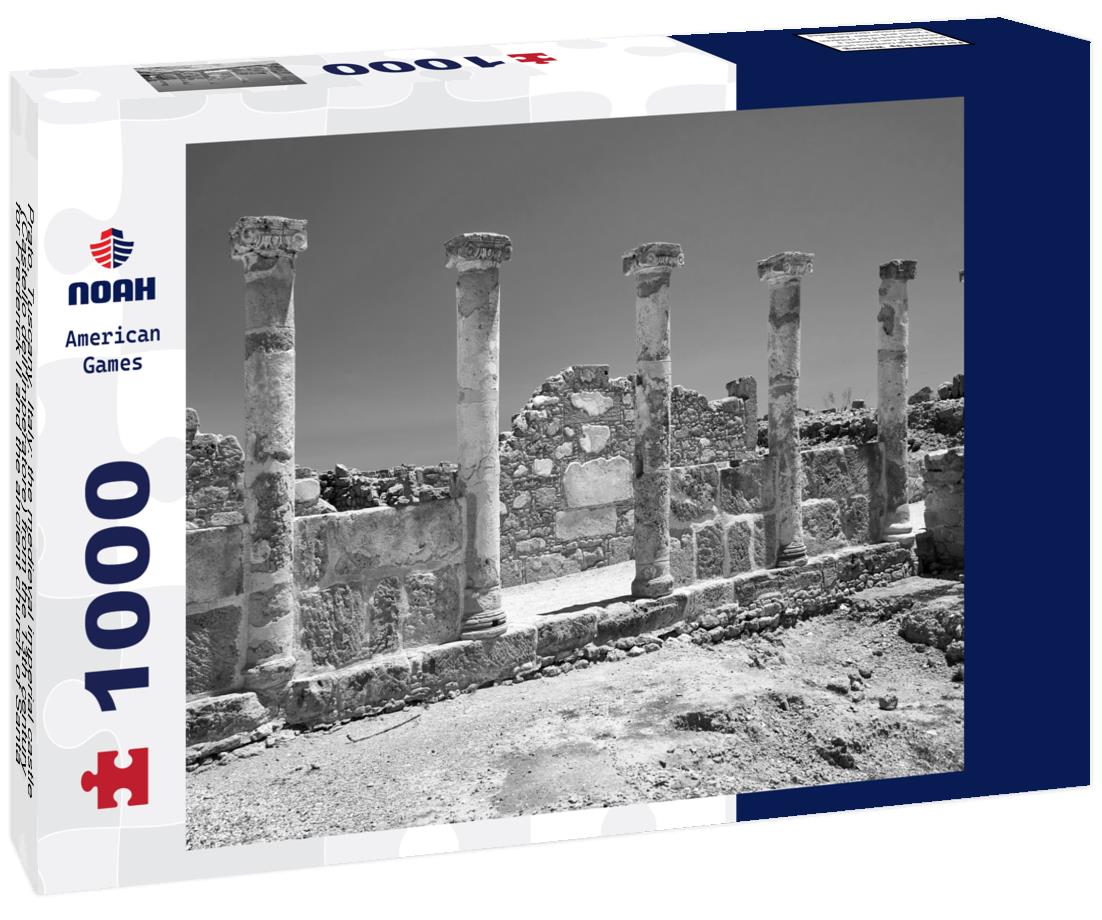 Noah Jigsaw Puzzle Stone columns among the ruins of ancient buildings in the archaeological park of Paphos, Cyprus. in black white 1000 pieces