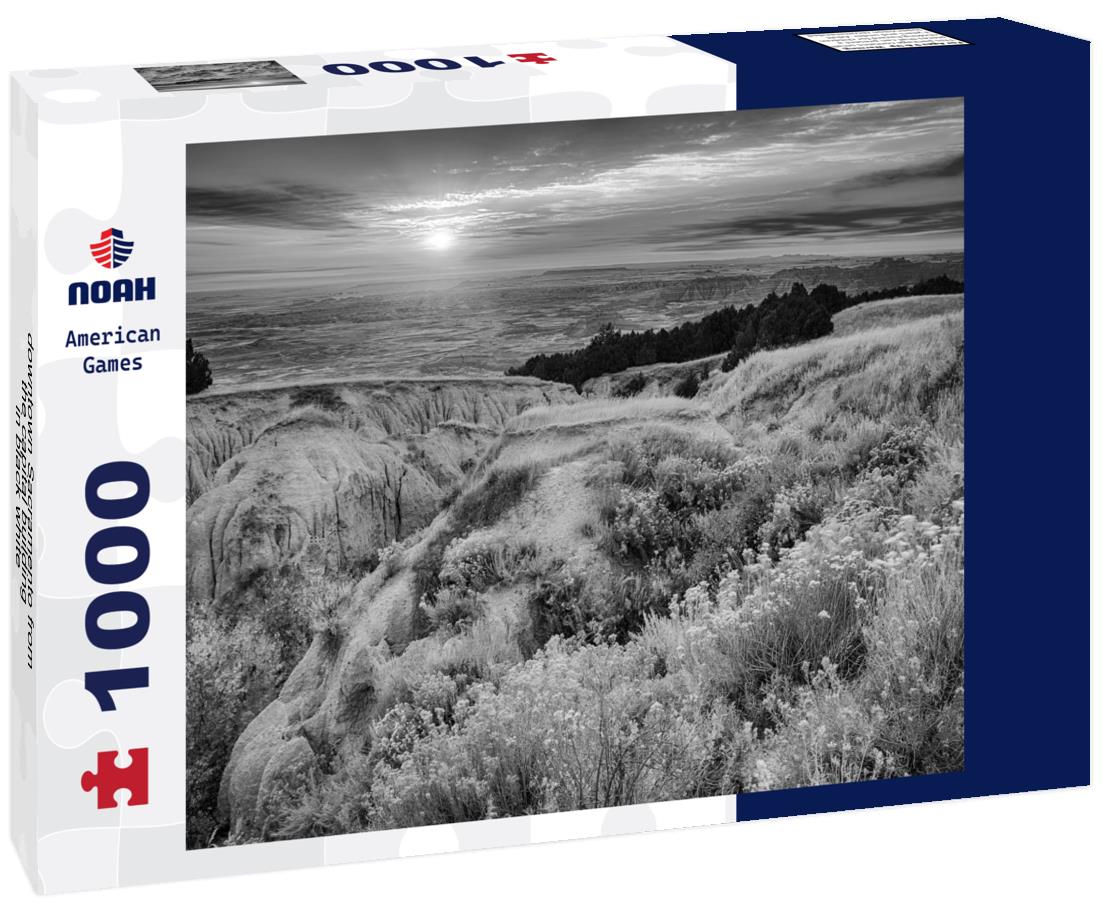 Noah Jigsaw Puzzle downtown Sacramento from the capital building in black white 1000 pieces