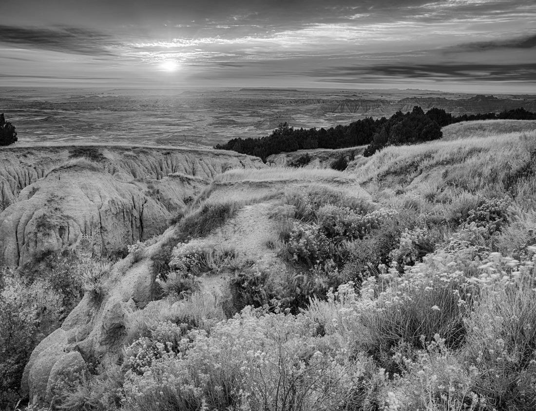 Noah Jigsaw Puzzle downtown Sacramento from the capital building in black white 1000 pieces