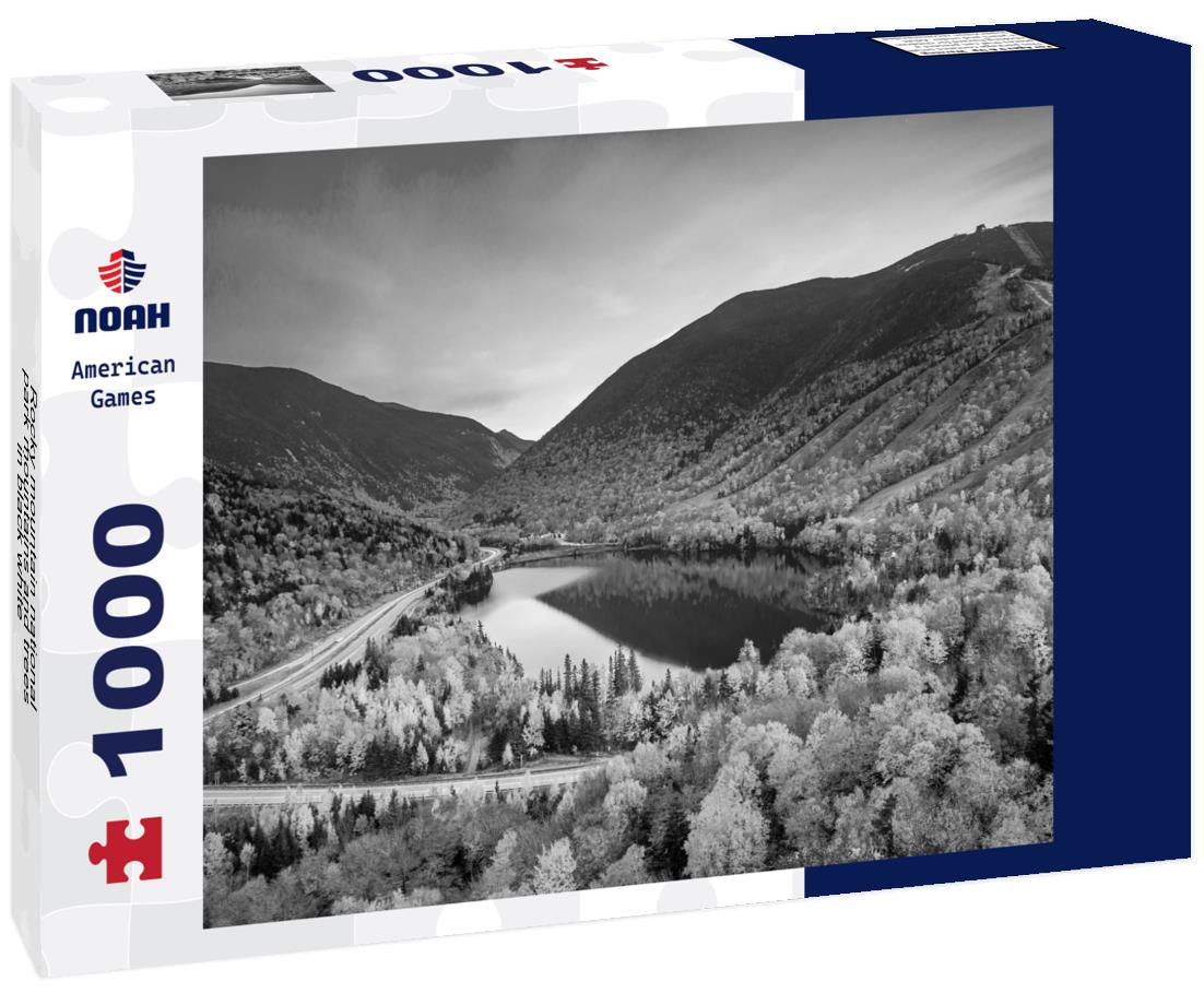 Noah Jigsaw Puzzle Fall colours in Franconia Notch State Park, White Mountain National Forest, New Hampshire, USA. in black white 1000 pieces