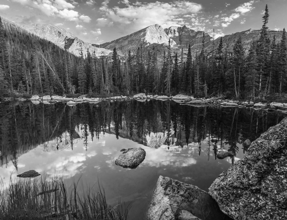Noah Jigsaw Puzzle City of Nashville Tennessee at night on the Cumberland River in Tennessee USA in black white 1000 pieces