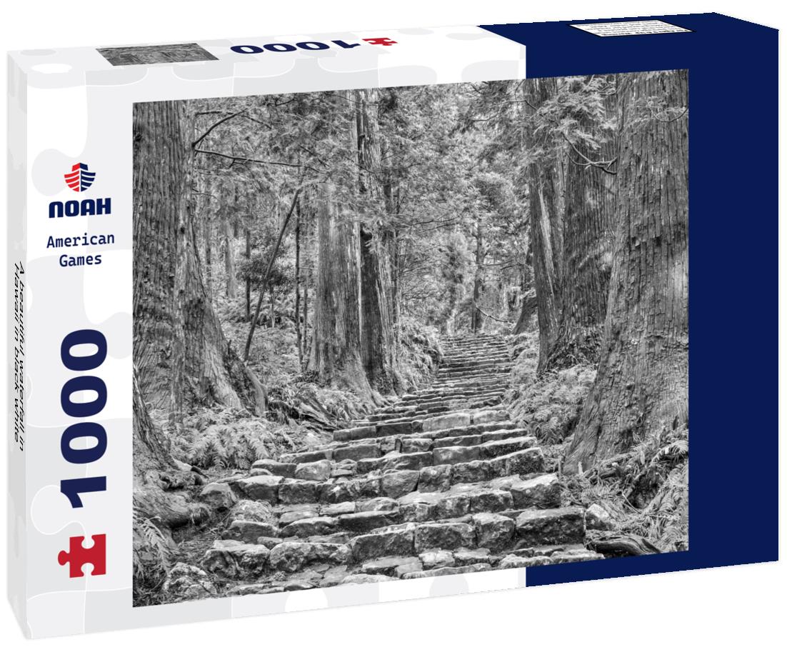 Noah Jigsaw Puzzle A beautiful waterfall in Hawaii in black white 1000 pieces