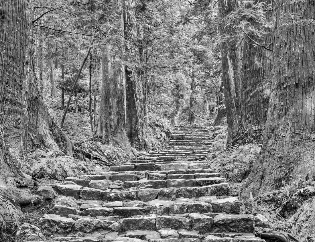 Noah Jigsaw Puzzle A beautiful waterfall in Hawaii in black white 1000 pieces