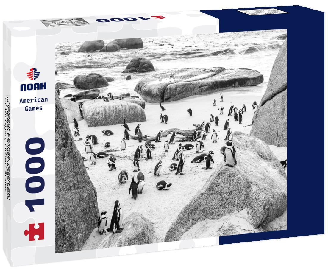Noah Jigsaw Puzzle Harbour Springs, resort city, in Emmet County in the state of Michigan, United States, in the fall in black white 1000 pieces
