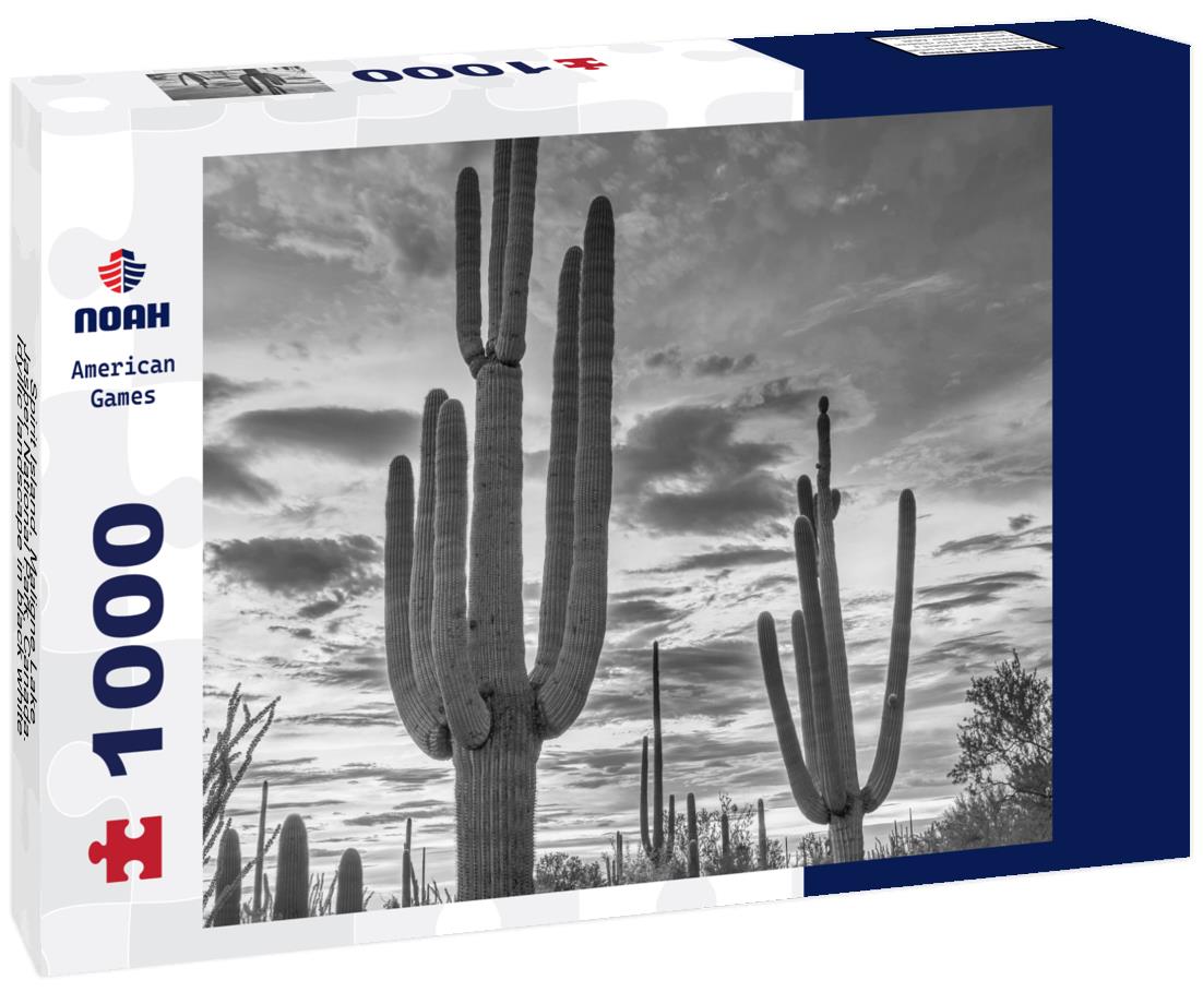 Noah Jigsaw Puzzle Cacti in the foreground at sunset in Saguaro National Park West, Arizona, against a colorful evening sky. in black white 1000 pieces