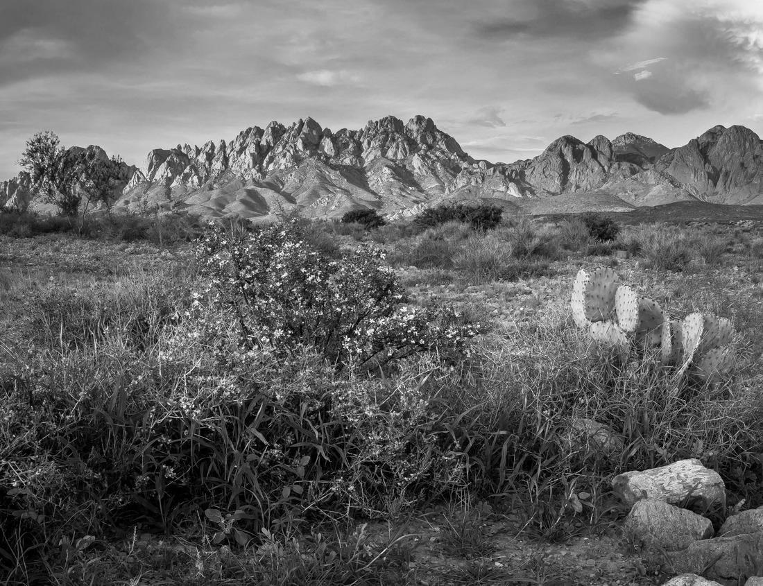 Noah Jigsaw Puzzle Large white Buddha statue at Khao Chad Temple, Udon Thani Province in black white 1000 pieces