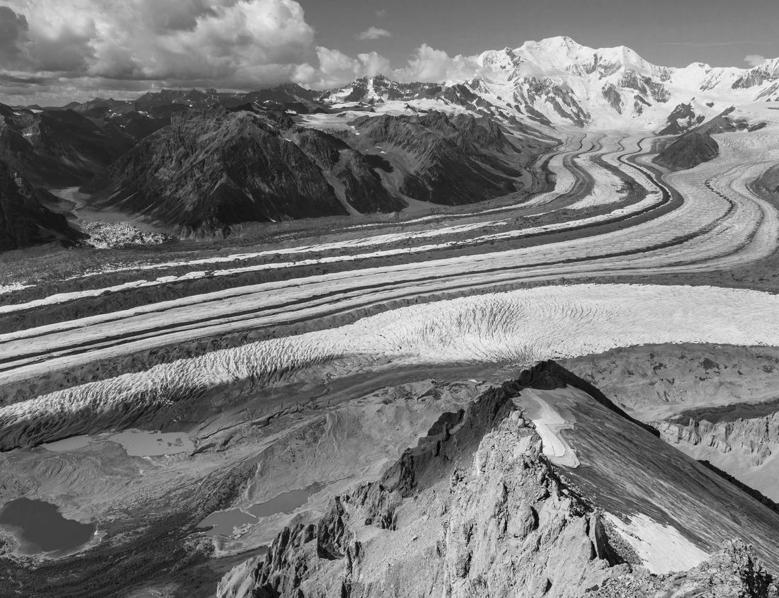 Noah Jigsaw Puzzle Daytime view of Buena Park, California in black white 1000 pieces