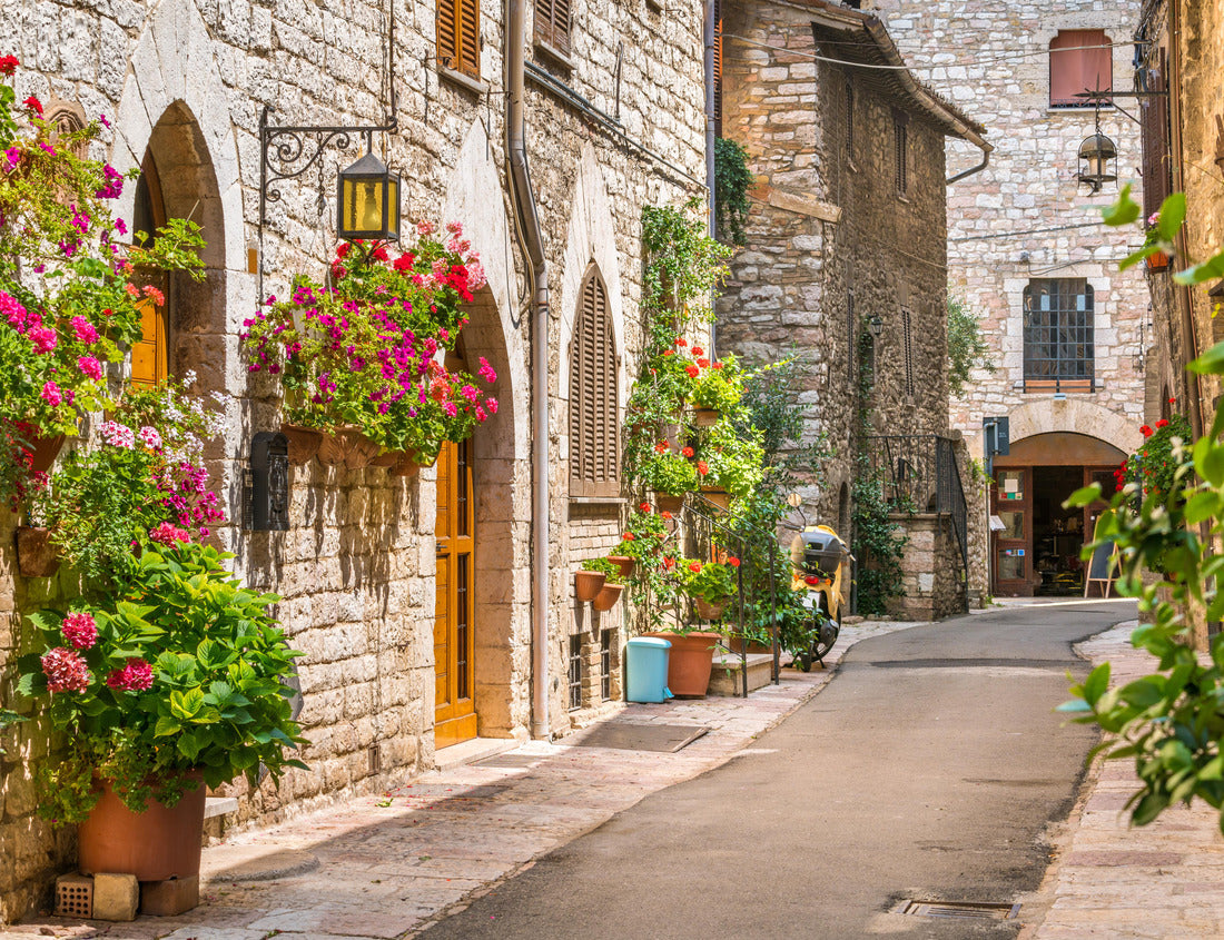 Noah Jigsaw Puzzle A picturesque view in Assisi. Province of Perugia, Umbria, central Italy 1000 pieces