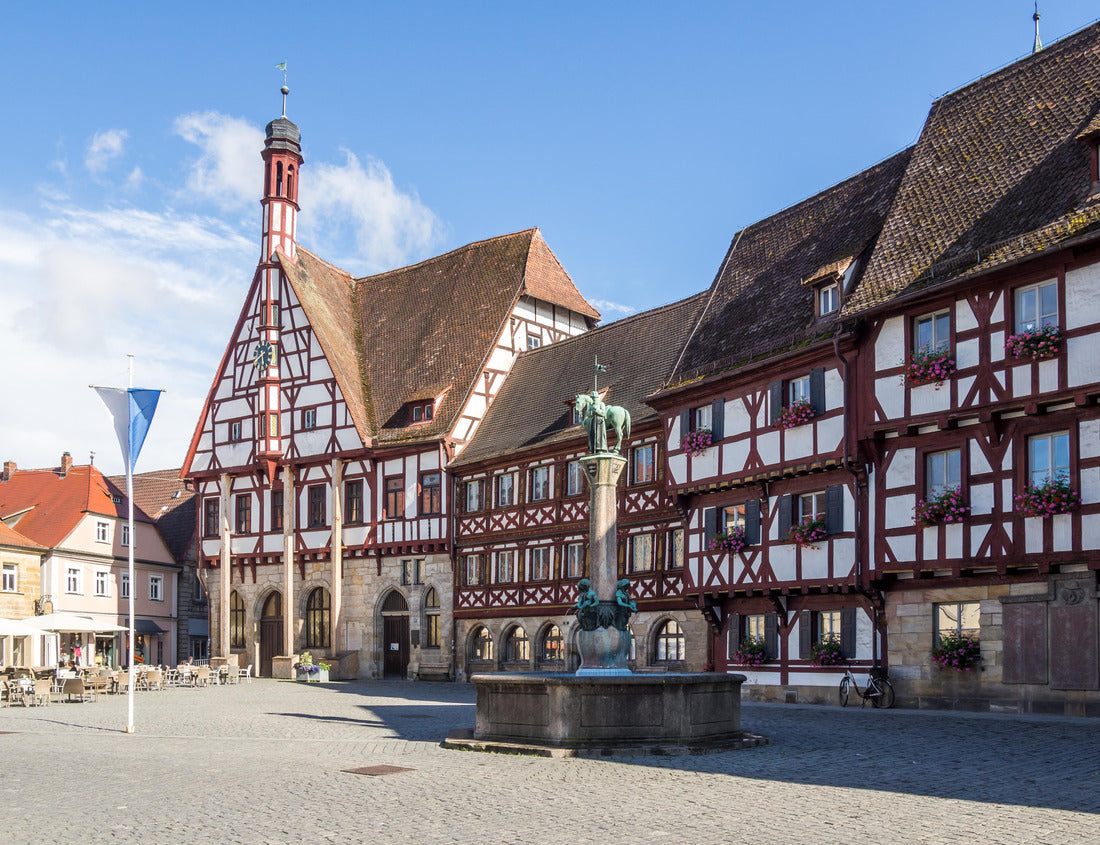 Noah Jigsaw Puzzle City of Forchheim 1000 pieces
