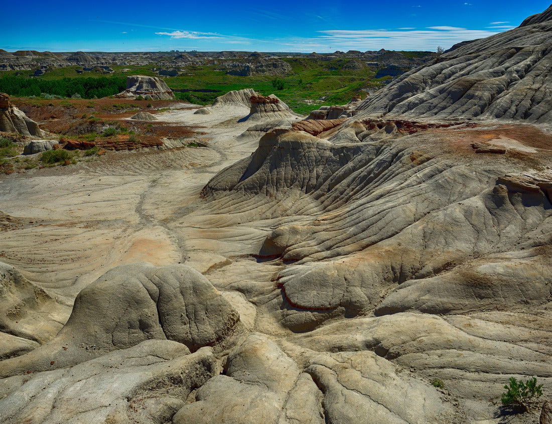 Noah Jigsaw Puzzle Dinosaur Provincial Park Alberta 1000 pieces