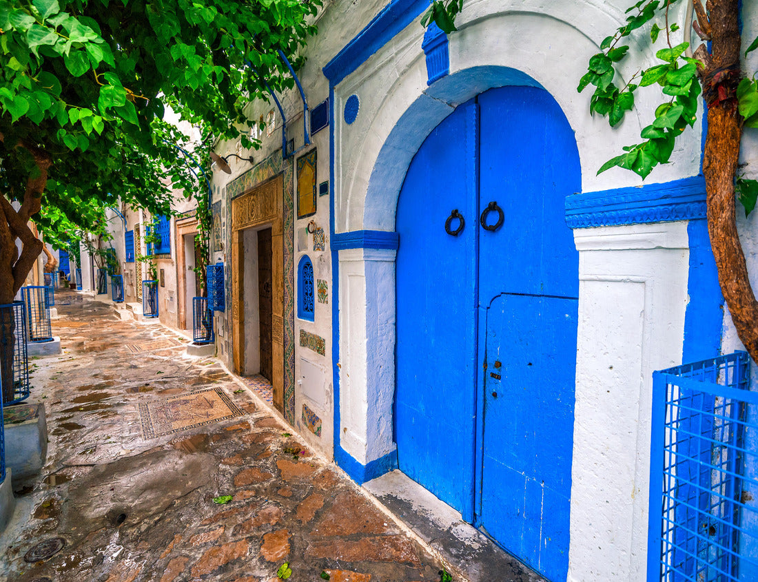 Noah Jigsaw Puzzle Hammamet Medina streets with blue walls. Tunis, North Africa 1000 pieces