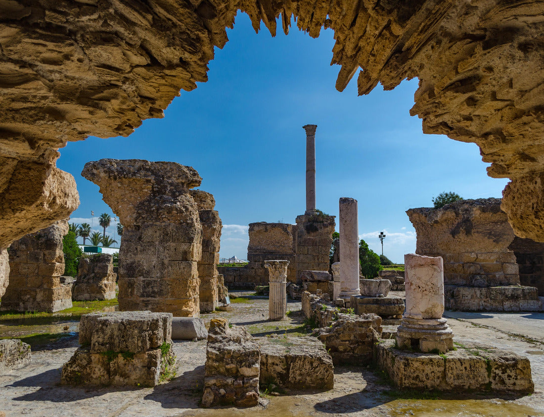 Noah Jigsaw Puzzle Archaeological Site of Carthage - The Baths of Antoninus or Baths of Carthage in Tunis 1000 pieces
