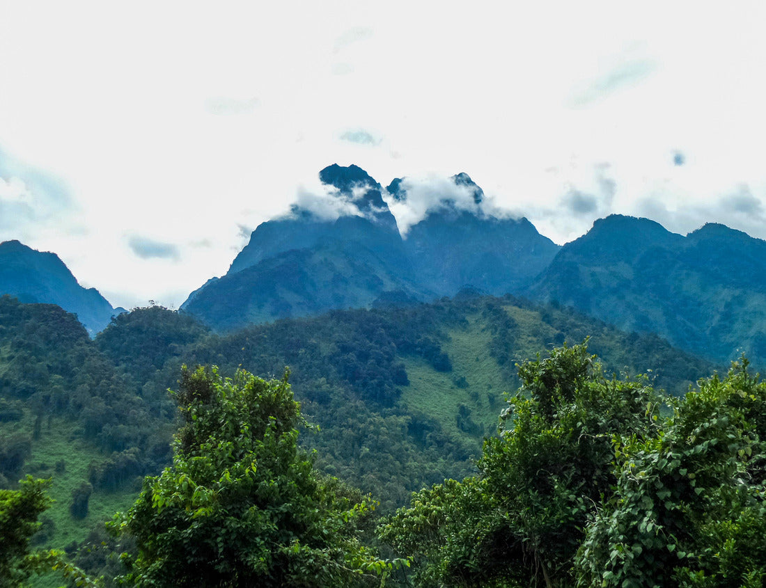 Noah Jigsaw Puzzle Mountain and jungle landscape in Rwenzori Mountains National Park, Kasese District, Uganda 1000 pieces