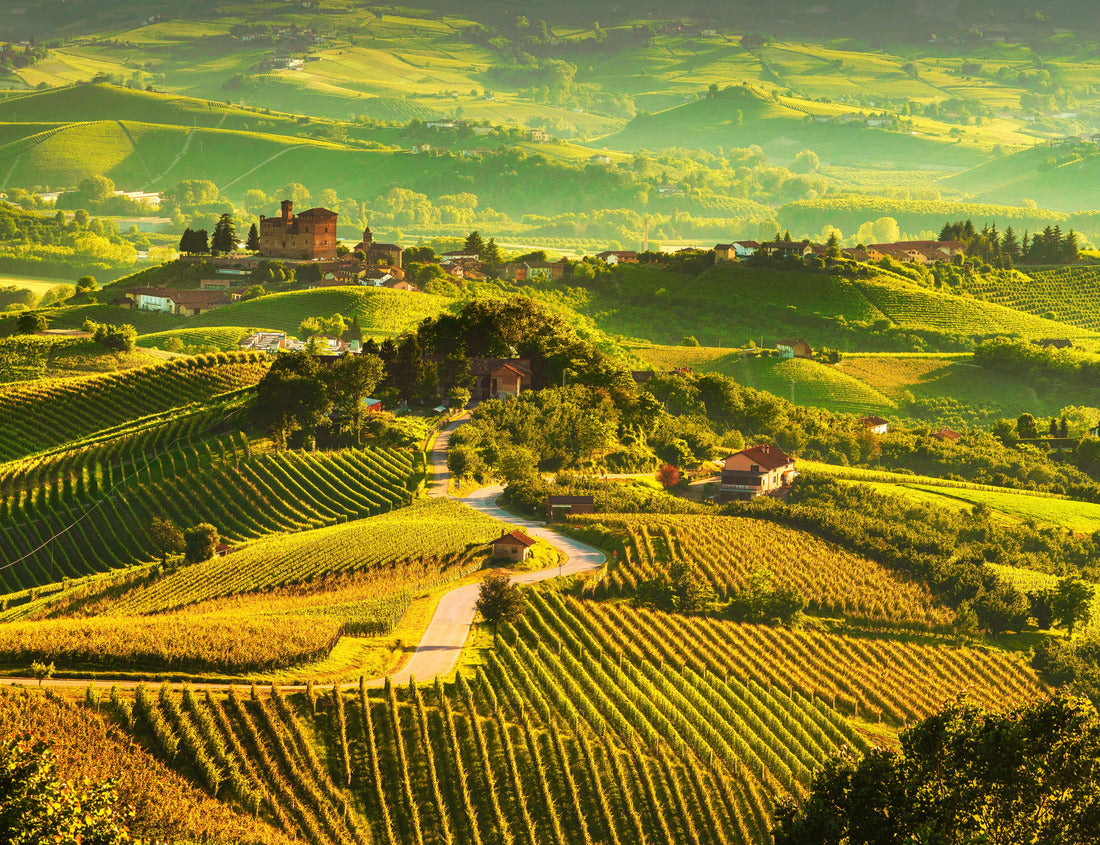 Noah Jigsaw Puzzle Langhe vineyards sunset panorama, Grinzane Cavour, Unesco site, Piedmont, northern Italy 1000 pieces