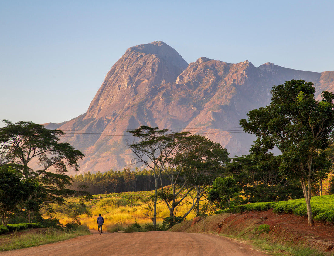 Noah Jigsaw Puzzle Mulanje Massif (mountain) in Malawi 1000 pieces