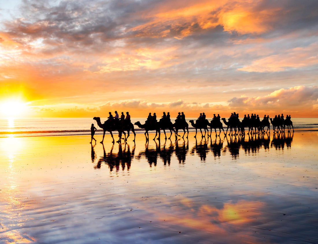 Noah Jigsaw Puzzle Camels walking along Cable Beach at sunset in the north-west town of Broome, Western Australia, Australia. Camel rides at sunset are a popular tourist activity in Broome 1000 pieces