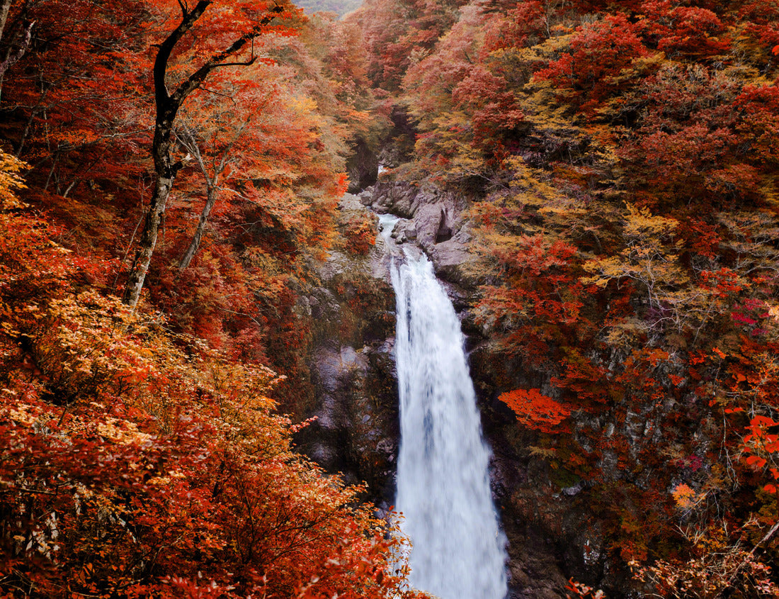 Noah Jigsaw Puzzle Famous Akiu Waterfall in Akiu Osen with vibrant red autumn forest, Sendai - Japan 1000 pieces