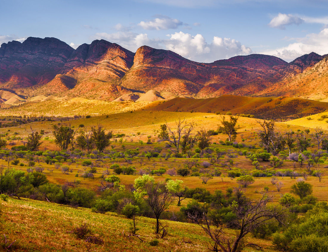 Noah Jigsaw Puzzle Beautiful Flinders Ranges in South Australia 1000 pieces