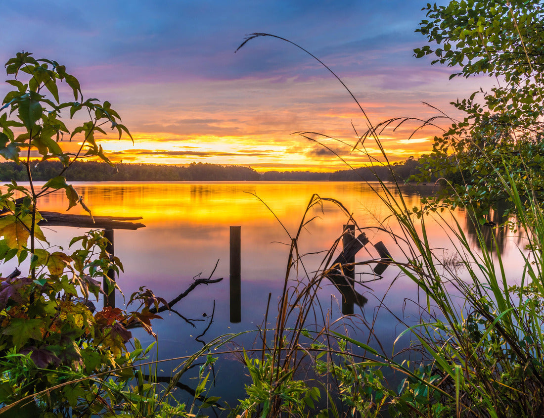 Noah Jigsaw Puzzle Evening at Elvis Presley Lake Elvis Presley Lake is a 322 acre lake located in Lee County, outside of Tupelo, Mississippi 1000 pieces