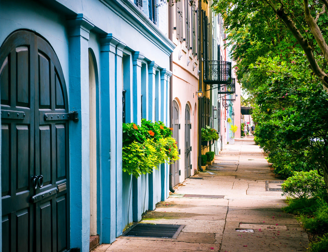 Noah Jigsaw Puzzle Empty sidewalk view of lush summer greenery lining the colorful Georgian architecture of the colonial Rainbow Row in the historical Battery neighborhood of Charleston, South Carolina, USA 1000 pieces