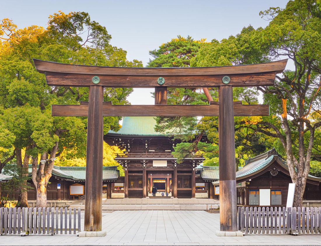 Noah Jigsaw Puzzle Meiji Shrine in Tokyo, Japan 1000 pieces