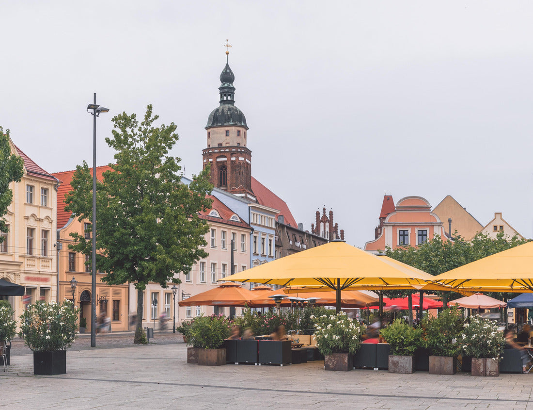 Noah Jigsaw Puzzle Cottbus. A university city and the second-largest city in Brandenburg, Germany 1000 pieces