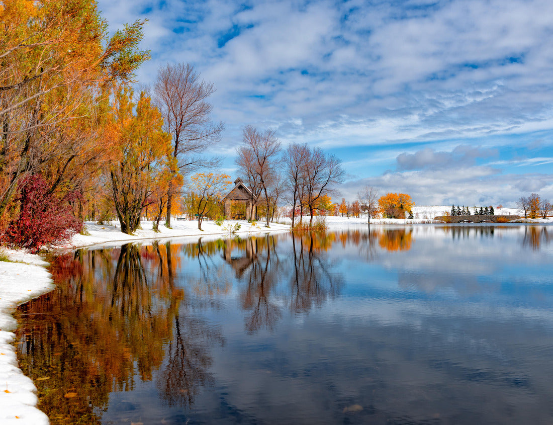 Noah Jigsaw Puzzle Early snow with foliage in Winnipeg 1000 pieces