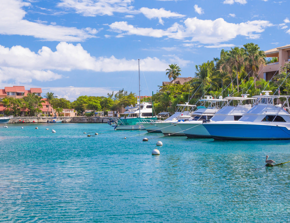 Noah Jigsaw Puzzle Harbor / marina in Puerto Aventuras with boats on a sunny day. The beautiful and popular coastal city in Riviera Maya, Mexico 1000 pieces
