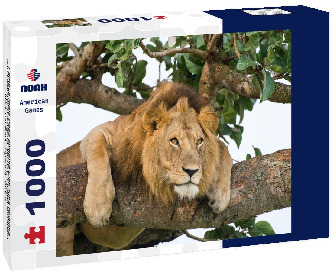 Noah Jigsaw Puzzle Famous male trees climbing Lion King relaxing and sleeping in Ishasha Secotor, Queen Elizabeth National Park, Uganda, Africa 1000 pieces