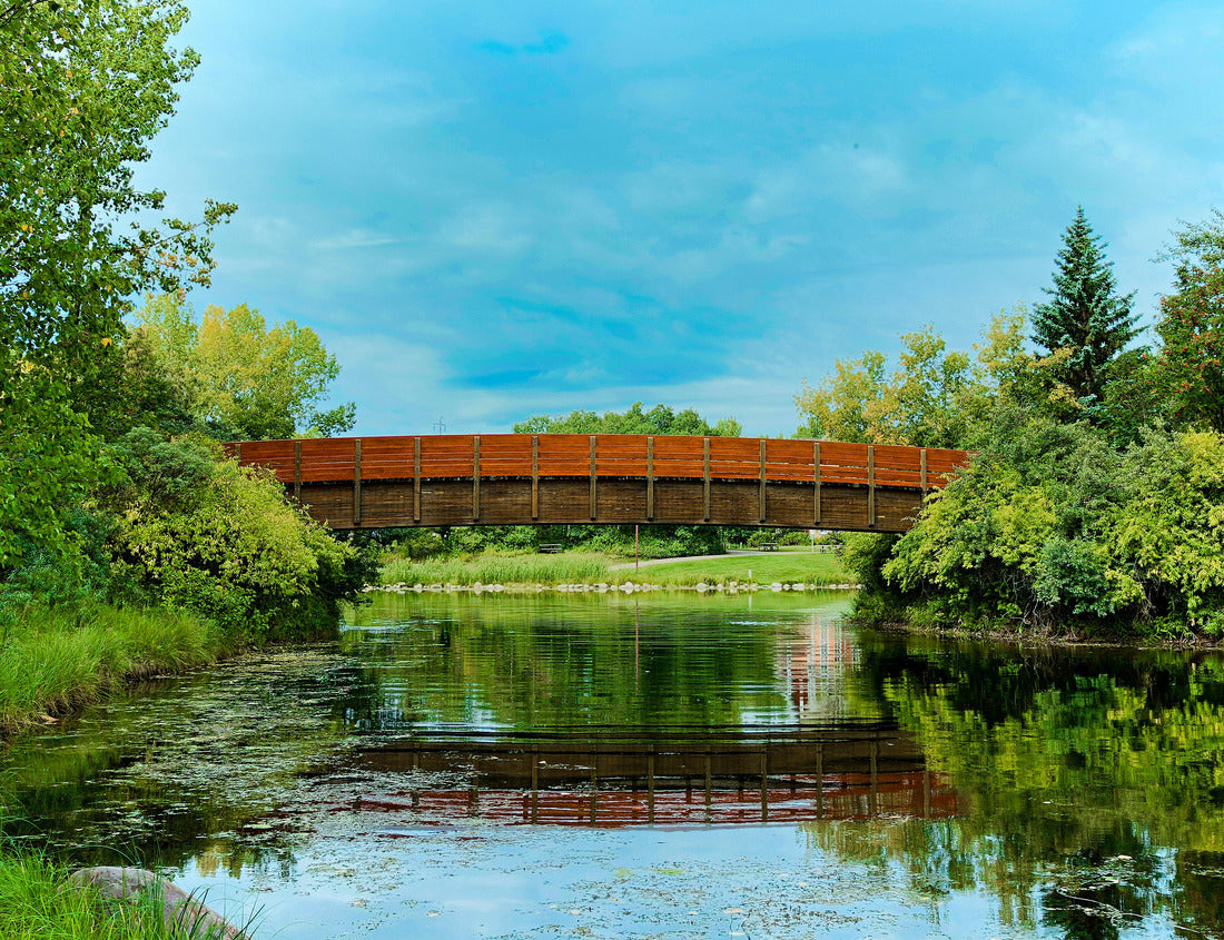 Noah Jigsaw Puzzle A bridge in Red Deer, Alberta 1000 pieces