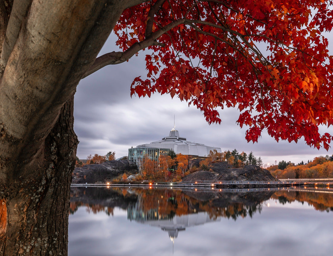 Noah Jigsaw Puzzle A beautiful red maple frames the shores of Ramsey Lake and Science North in Sudbury, ON 1000 pieces
