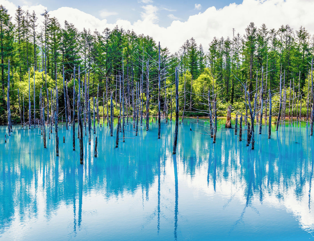 Noah Jigsaw Puzzle Blue Pond in summer, near Patchwork Road, near Town, Hokkaido, Japan 1000 pieces