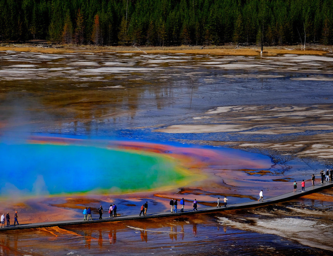 Noah Jigsaw Puzzle Grand Prismatic Spring in Yellowstone National Park with steam rising 1000 pieces