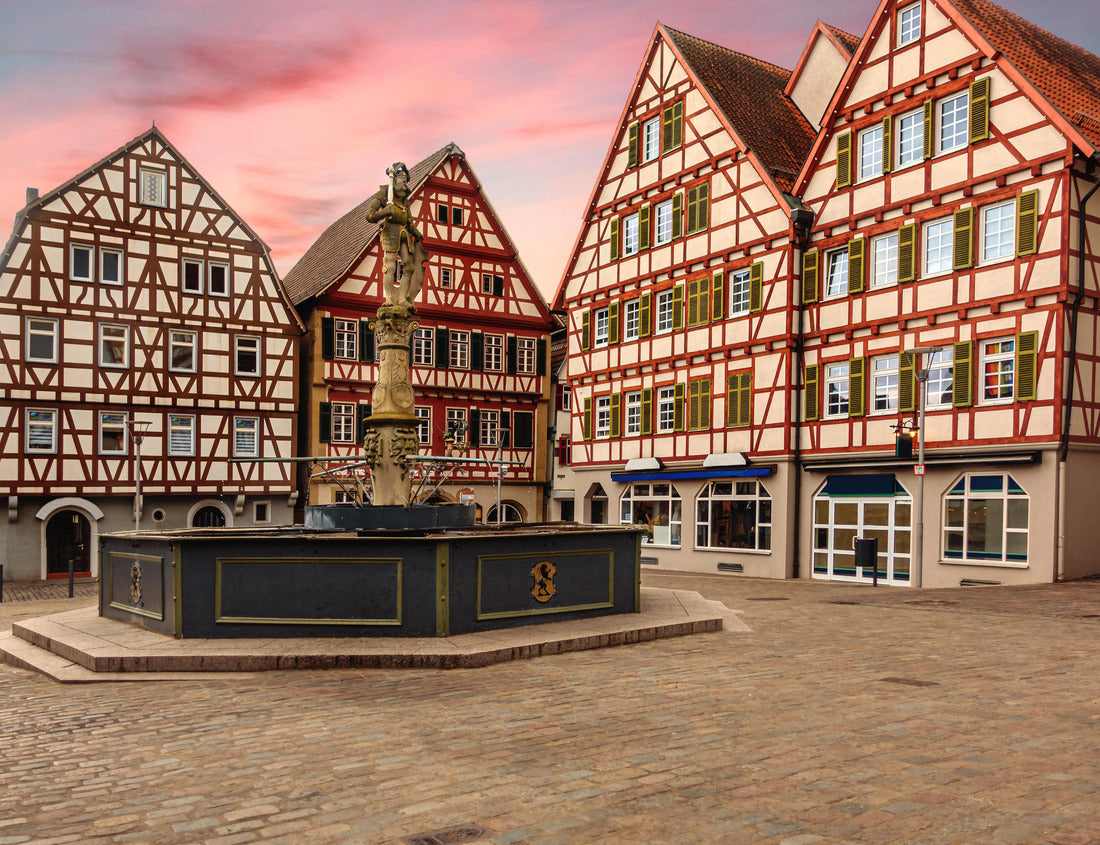 Noah Jigsaw Puzzle Marketplace in Leonberg at sunset 1000 pieces